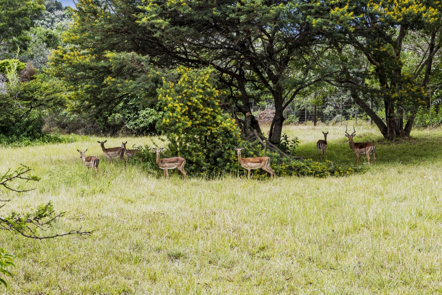 0 Bedroom Property for Sale in Cintsa West Eastern Cape